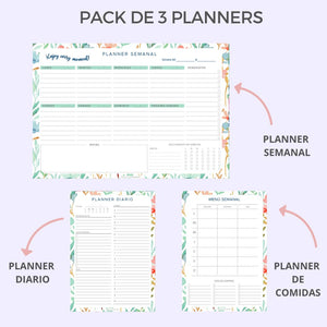 PACK DE 3 PLANNERS - Flowes light